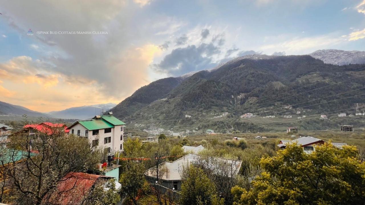 Villa Pink Bud 6Bhk - Manali (Himachal Pradesh), Manali